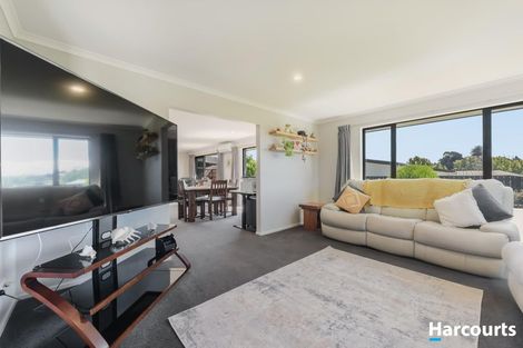 Photo of property in 25 Koi Crescent, Mapua, 7005