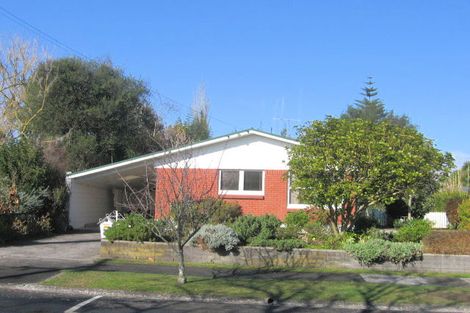 Photo of property in 24 Wake Street, Chartwell, Hamilton, 3210