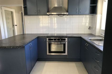 Photo of property in 67 Webster Avenue, Mount Roskill, Auckland, 1041