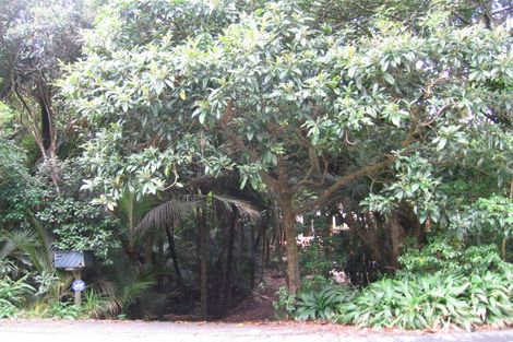 Photo of property in 47 Wood Bay Road, Titirangi, Auckland, 0604