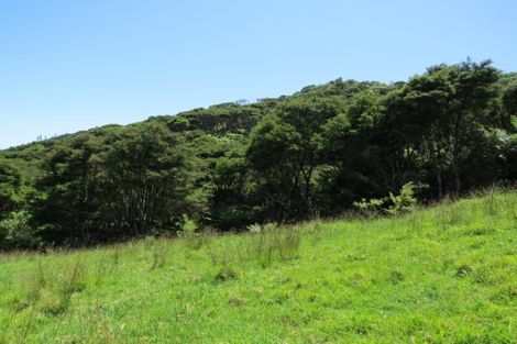 Photo of property in 880 Colville Road, Amodeo Bay, Coromandel, 3584