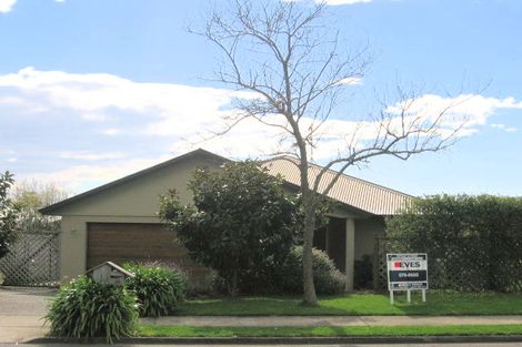 Photo of property in 14 Rowesdale Drive, Ohauiti, Tauranga, 3112