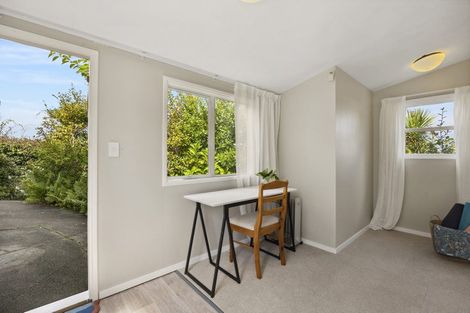Photo of property in 18 Kilgour Street, Roslyn, Dunedin, 9010