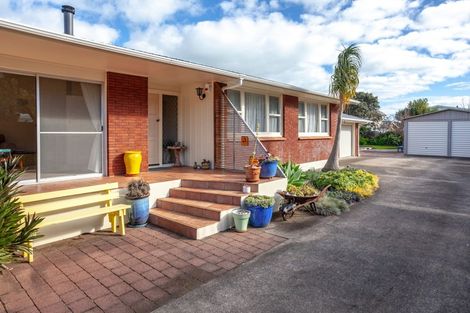 Photo of property in 109 Robert Street, Thames, 3500