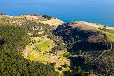 Photo of property in 380 Whaanga Road, Raglan, 3297