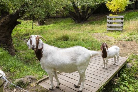 Photo of property in 69 Avoca Valley Road, Heathcote Valley, Christchurch, 8022