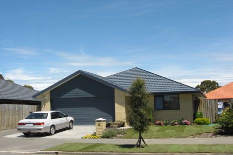 Photo of property in 17 Lindores Street, Addington, Christchurch, 8024