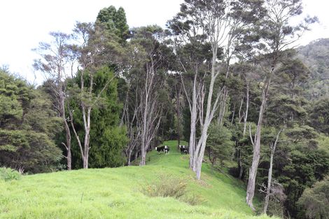 Photo of property in 51a Waingaro Road, Ngaruawahia, 3720