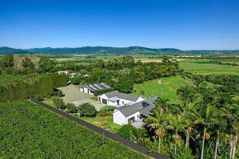 Photo of property in 304 Tablelands Road, Tirohanga, Opotiki, 3197