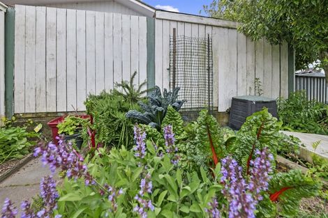 Photo of property in 3a Wavell Place, Putaruru, 3411