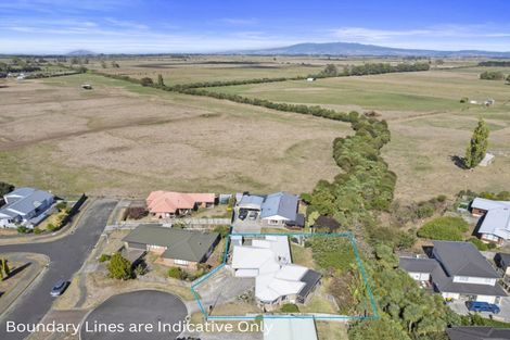 Photo of property in 44 Forth Crescent, Glenview, Hamilton, 3206