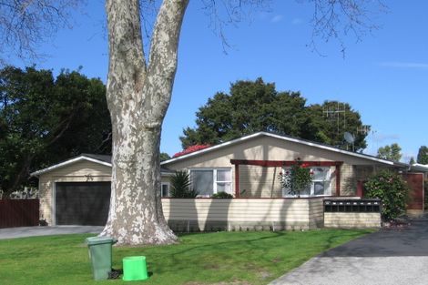 Photo of property in 48 Seventeenth Avenue, Tauranga South, Tauranga, 3112
