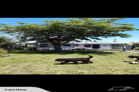 Photo of property in 7 Sutton Street, Richmond, 7020