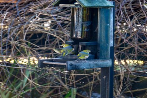 Photo of property in 18c Marguerita Street, Fenton Park, Rotorua, 3010