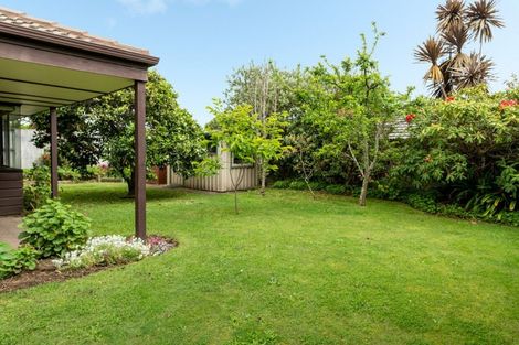 Photo of property in 3 Winchester Terrace, Bethlehem, Tauranga, 3110