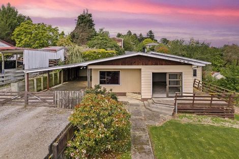 Photo of property in 24 Kirkwall Street, Palmerston, 9430