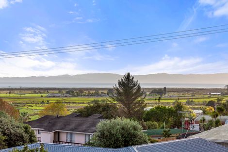 Photo of property in 212 Waikiekie Road, Thames, 3500