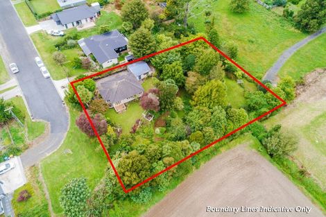 Photo of property in 31 Ballance Street, Kihikihi, Te Awamutu, 3800