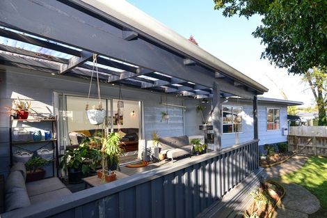 Photo of property in 17 Exeter Street, Glenview, Hamilton, 3206