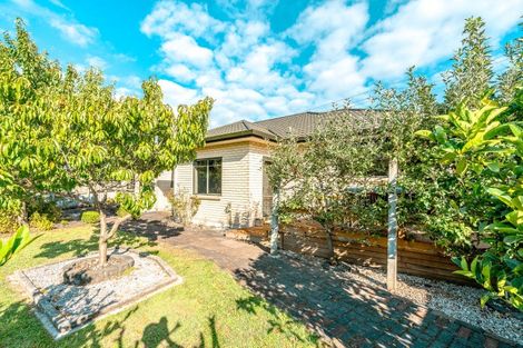 Photo of property in 98 Rototuna Road, Rototuna, Hamilton, 3210