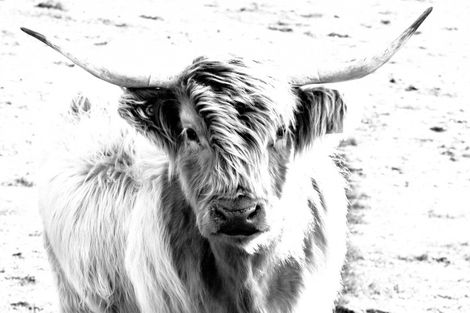 Photo of property in 413d Busby Road, Tahawai, Katikati, 3170