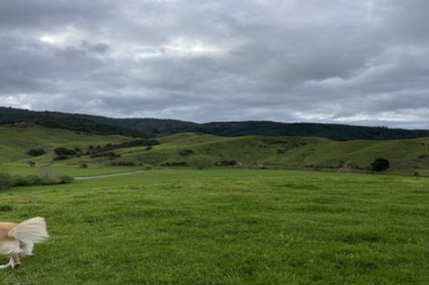 Photo of property in 287 Wentworth Valley Road, Whangamata, 3691