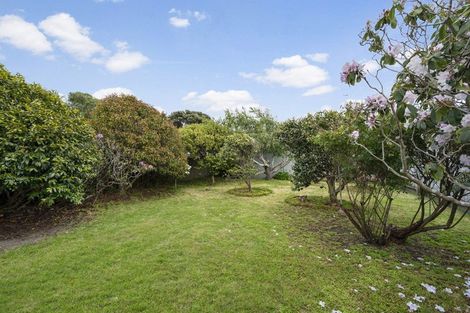 Photo of property in 67 Para Street, Miramar, Wellington, 6022