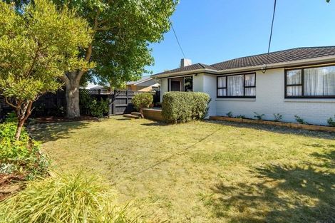 Photo of property in 31a Carysfort Street, Mount Maunganui, 3116