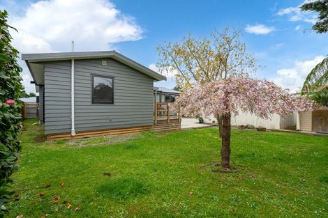 Photo of property in 12 Rimu Street, Levin, 5510
