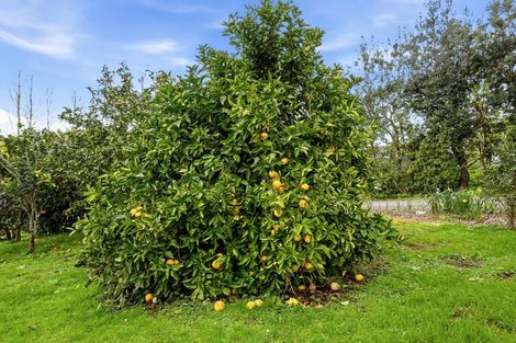 Photo of property in 497a Tara Road, Mangawhai, 0573