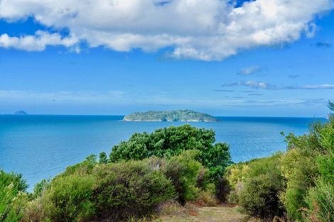 Photo of property in 210 Pumpkin Hill Road, Pumpkin Hill, Whitianga, 3591