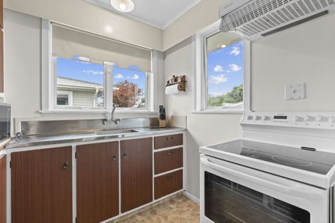 Photo of property in 47 Fergusson Street, Solway, Masterton, 5810