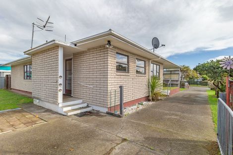 Photo of property in 19 Balmoral Street, Levin, 5510