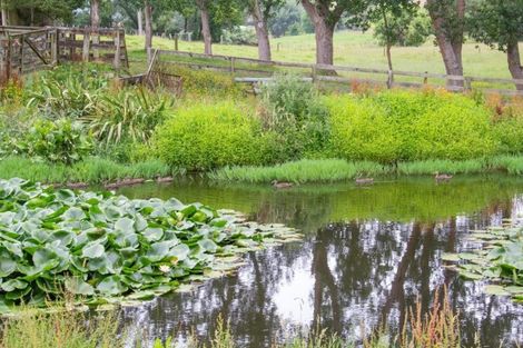 Photo of property in 132 Stoney Creek Road, Kaukapakapa, 0873