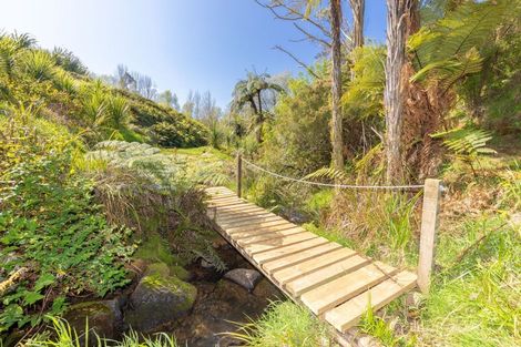 Photo of property in 183 Te Tahi Road, Puketotara, Te Awamutu, 3876