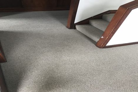 Photo of property in 35 Union Street West, North Dunedin, Dunedin, 9016