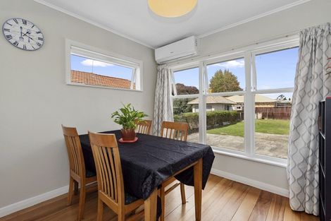 Photo of property in 100 Clarkin Road, Fairfield, Hamilton, 3214