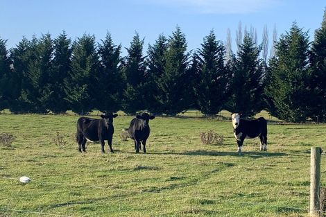 Photo of property in 460 Palmerston-dunback Road, Glenpark, Palmerston, 9483