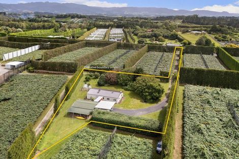 Photo of property in 81 Lockington Road, Aongatete, Katikati, 3181