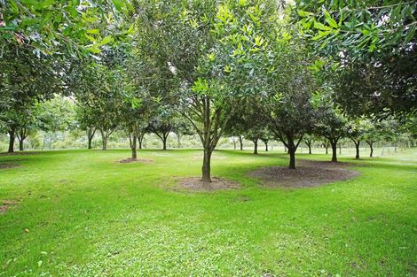 Photo of property in 26 Ernest George Drive, Karaka, Papakura, 2580