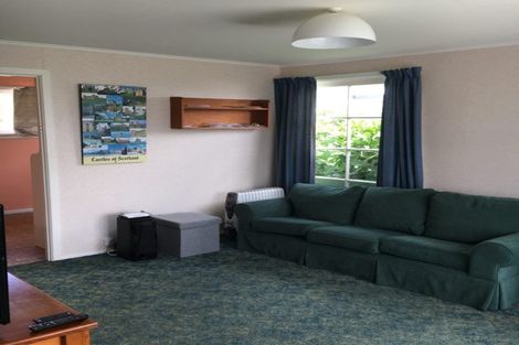 Photo of property in 45 Bruce Avenue, Glenview, Hamilton, 3206