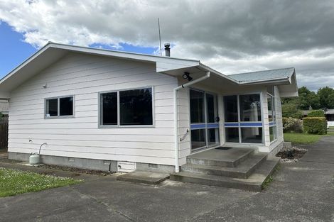 Photo of property in 137 Winchester Street, Ashhurst, 4810