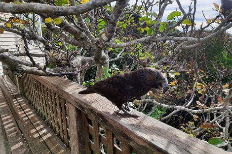 Photo of property in 27 Roseneath Terrace, Roseneath, Wellington, 6011