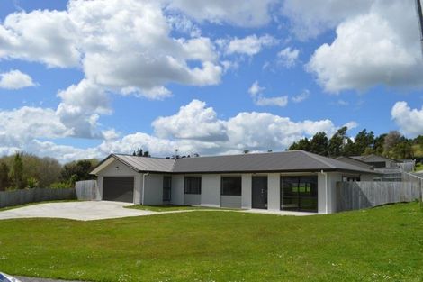 Photo of property in 45 Hartis Avenue, Huntly, 3700