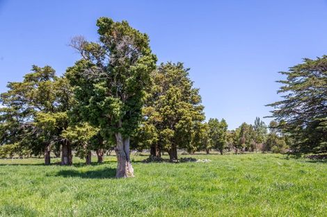 Photo of property in 635 Chester Road, West Taratahi, Carterton, 5791