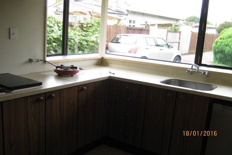 Photo of property in 255 Park Road, Hokowhitu, Palmerston North, 4410