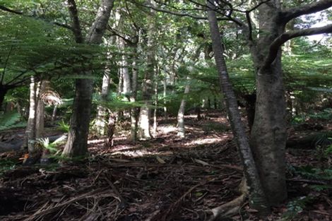 Photo of property in 16 Waikarekare Lane, Karekare, Auckland, 0772