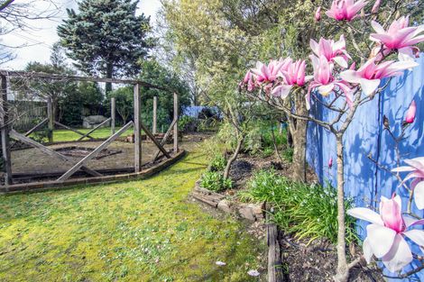 Photo of property in 120 Lincoln Road, Masterton, 5810