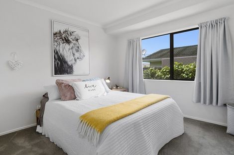 Photo of property in 256 Waihi Road, Judea, Tauranga, 3110