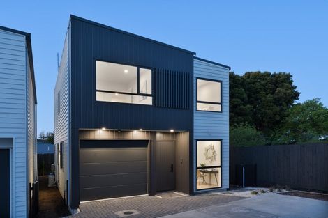 Photo of property in 29e Dellwood Avenue, Henderson, Auckland, 0612